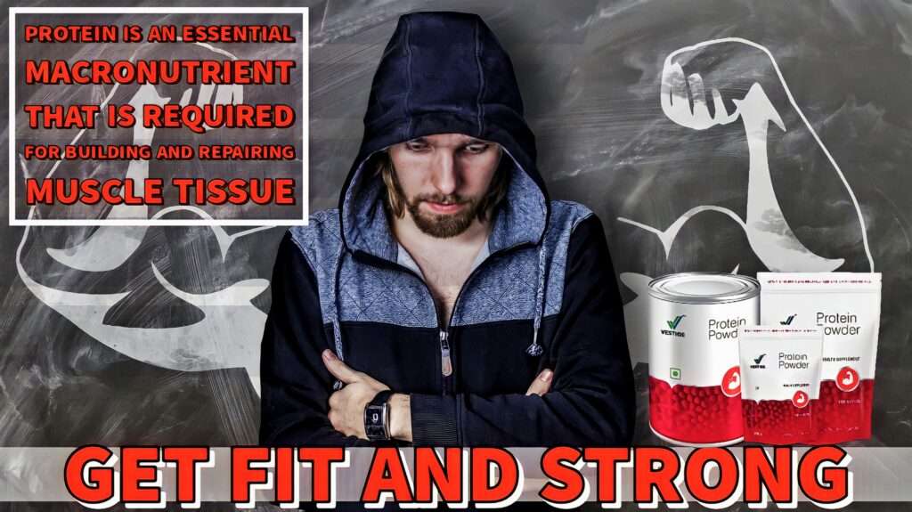 Vestige Protein Powder