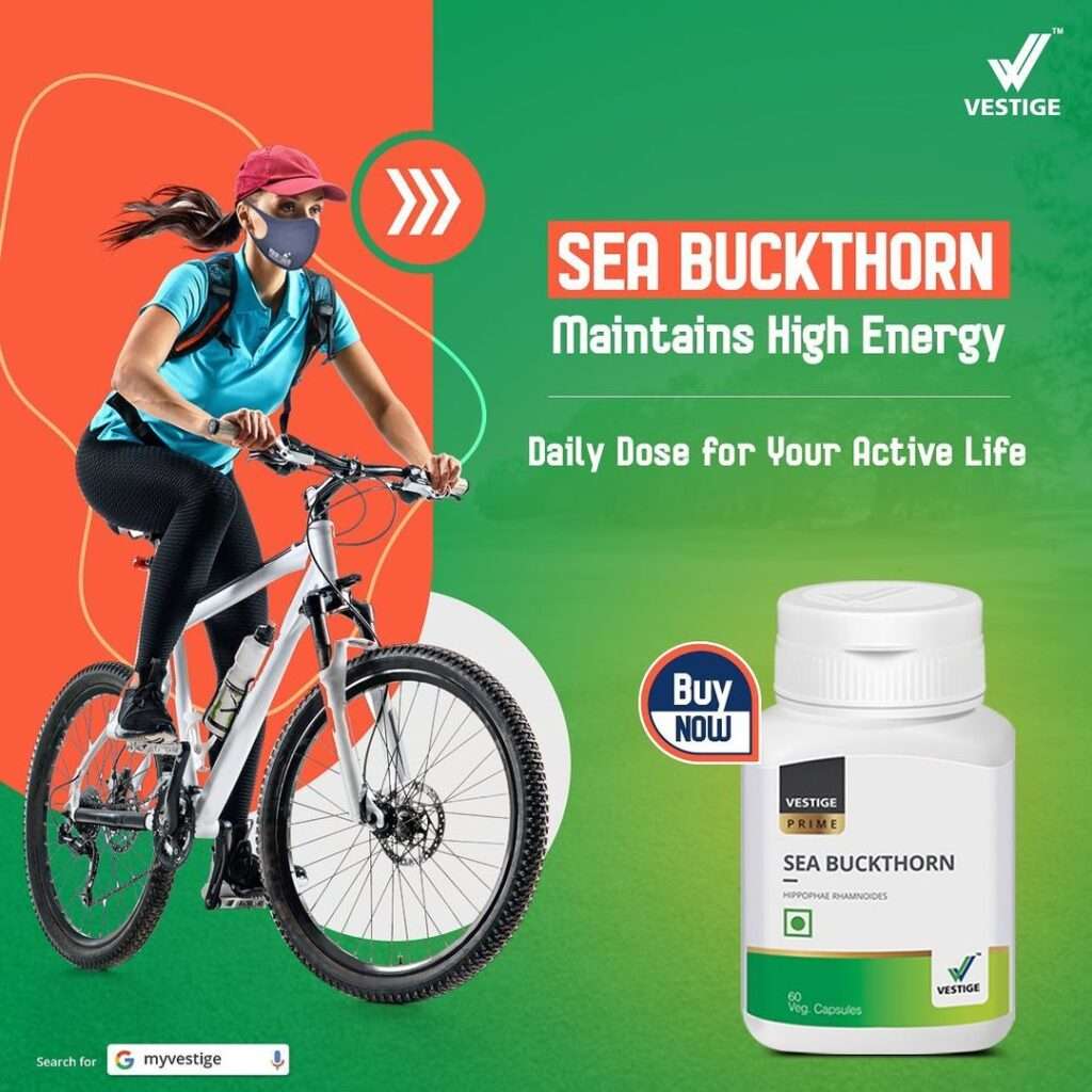Vestige Sea Buckthorn