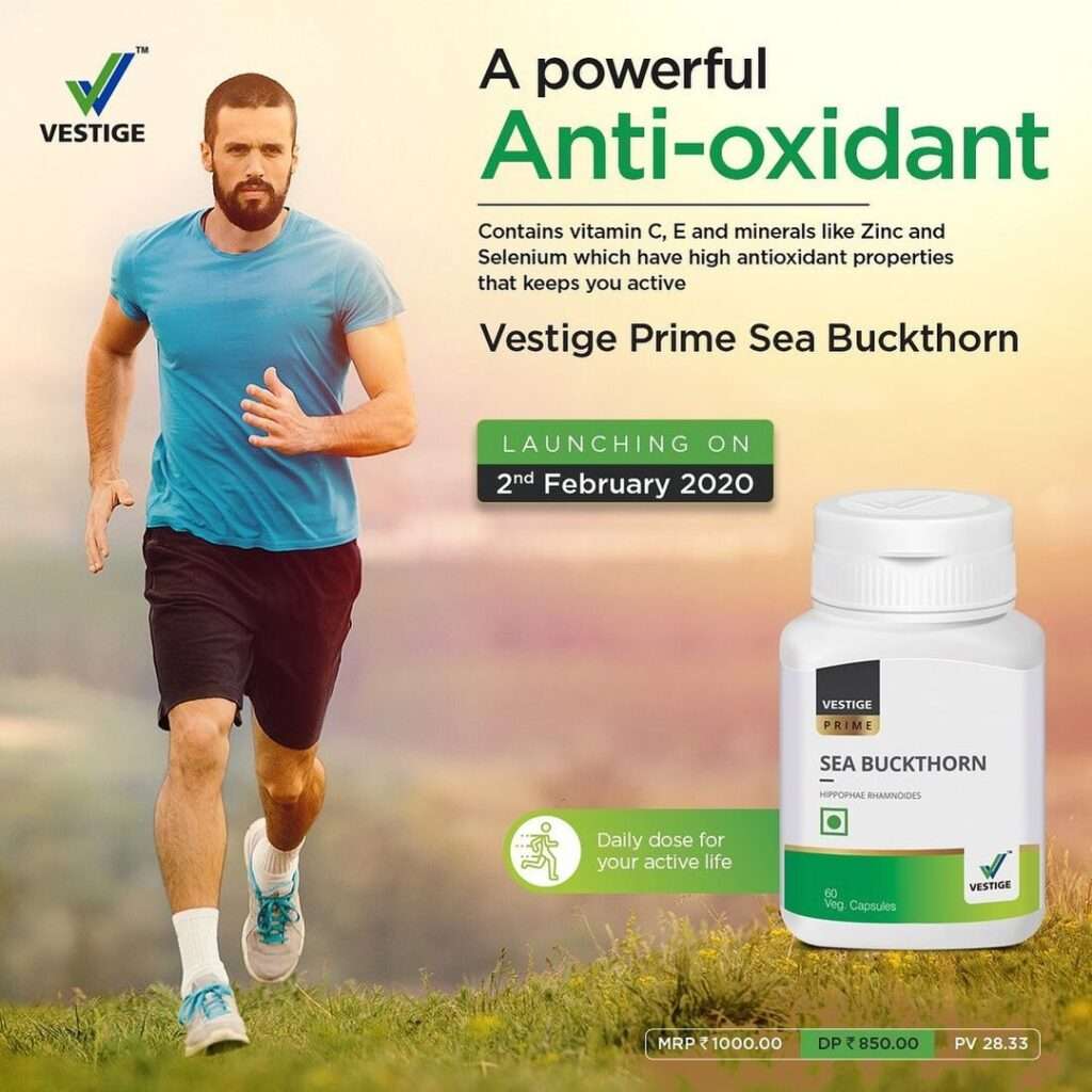Vestige Sea Buckthorn