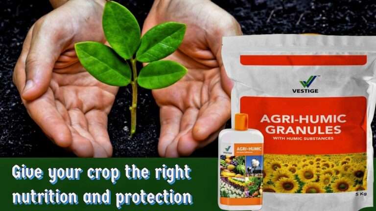 Vestige Agri Humic Granules: मिट्टी की उर्वरता बढ़ाने वाला एक जैविक उत्पाद