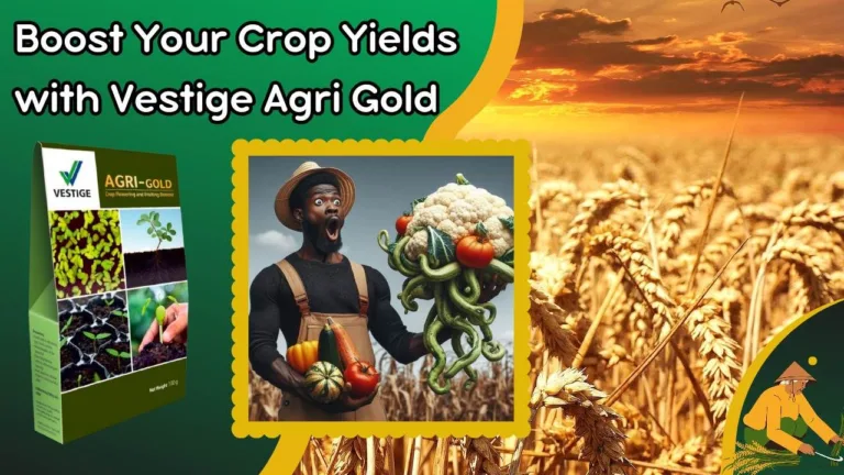 Vestige Agri Gold: चार सर्वश्रेष्ठ अवयवों से अपनी फसल की पैदावार बढ़ाएं