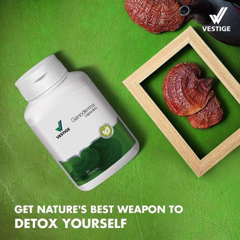 Vestige ganoderma